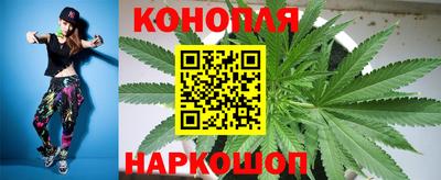 стафф Дубна